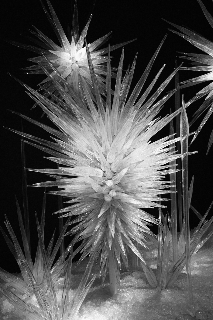 Rays of Glass