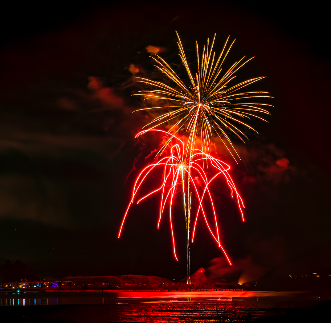 Spider Hiding Under Flower