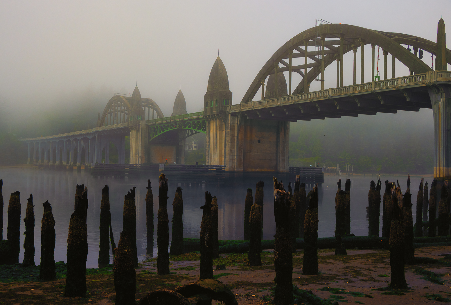 Morning on the Siuslaw