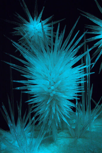 Rays of Glass Ed O'Rourke