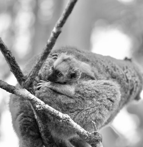 Hang on Tight - Janine Reep