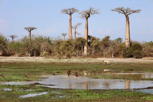Splash of Innocence - Janine Reep