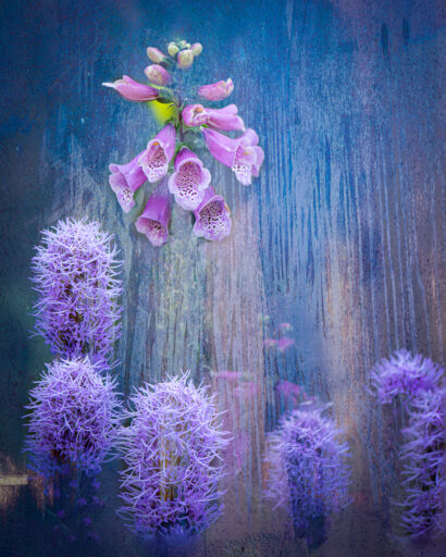 Purple Rain - Jim Buch