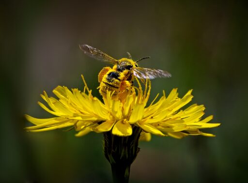 Summer - Stewart Willason