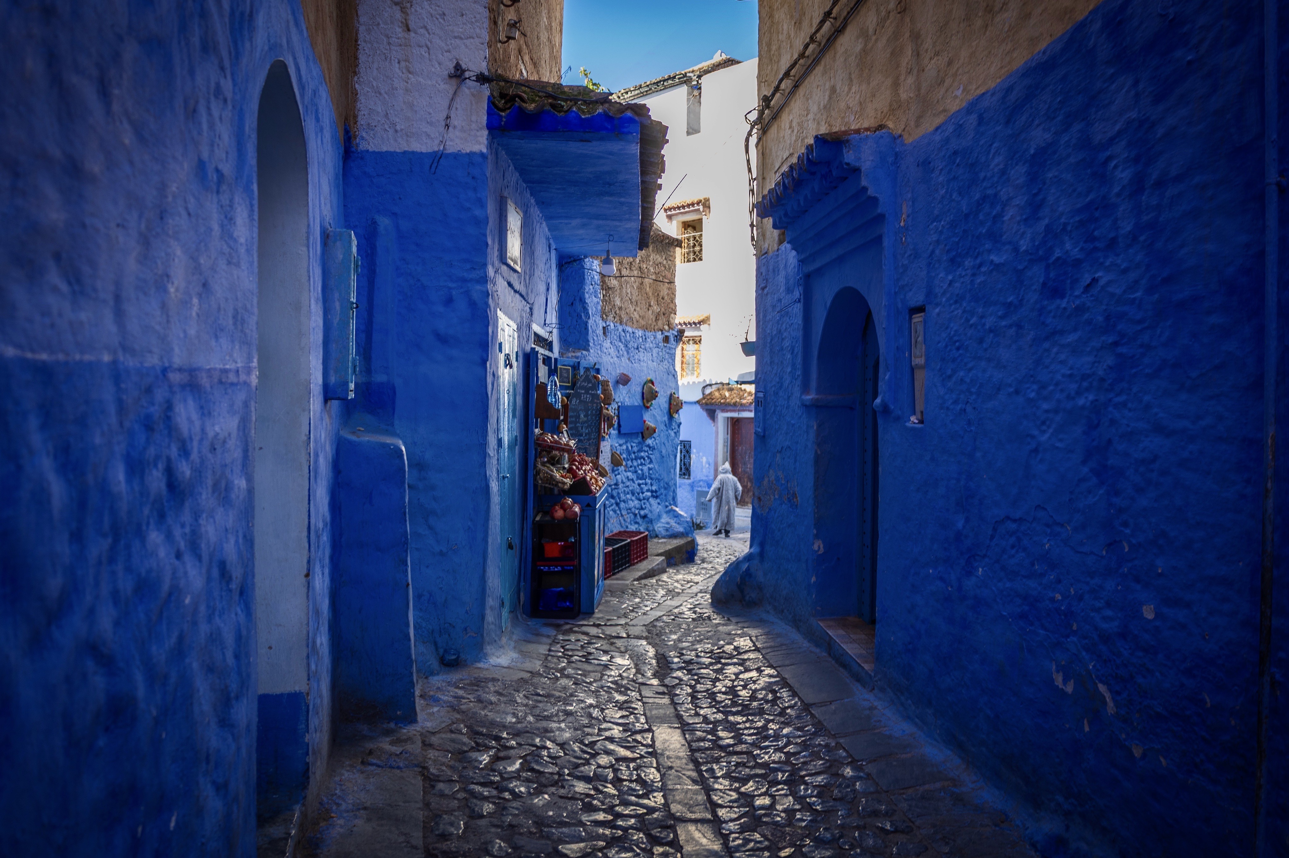 In the Still of the Morning