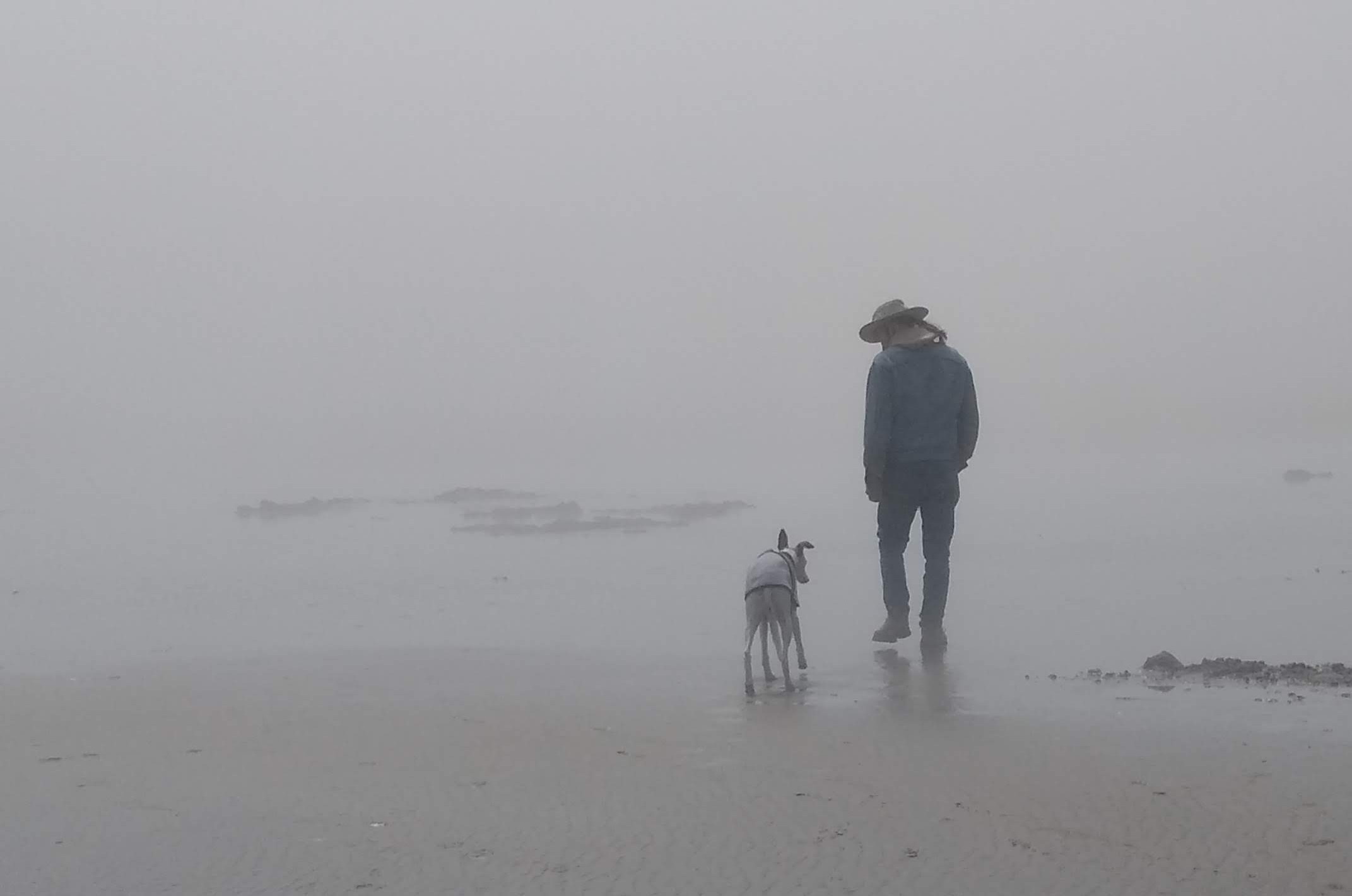 Beach Fog