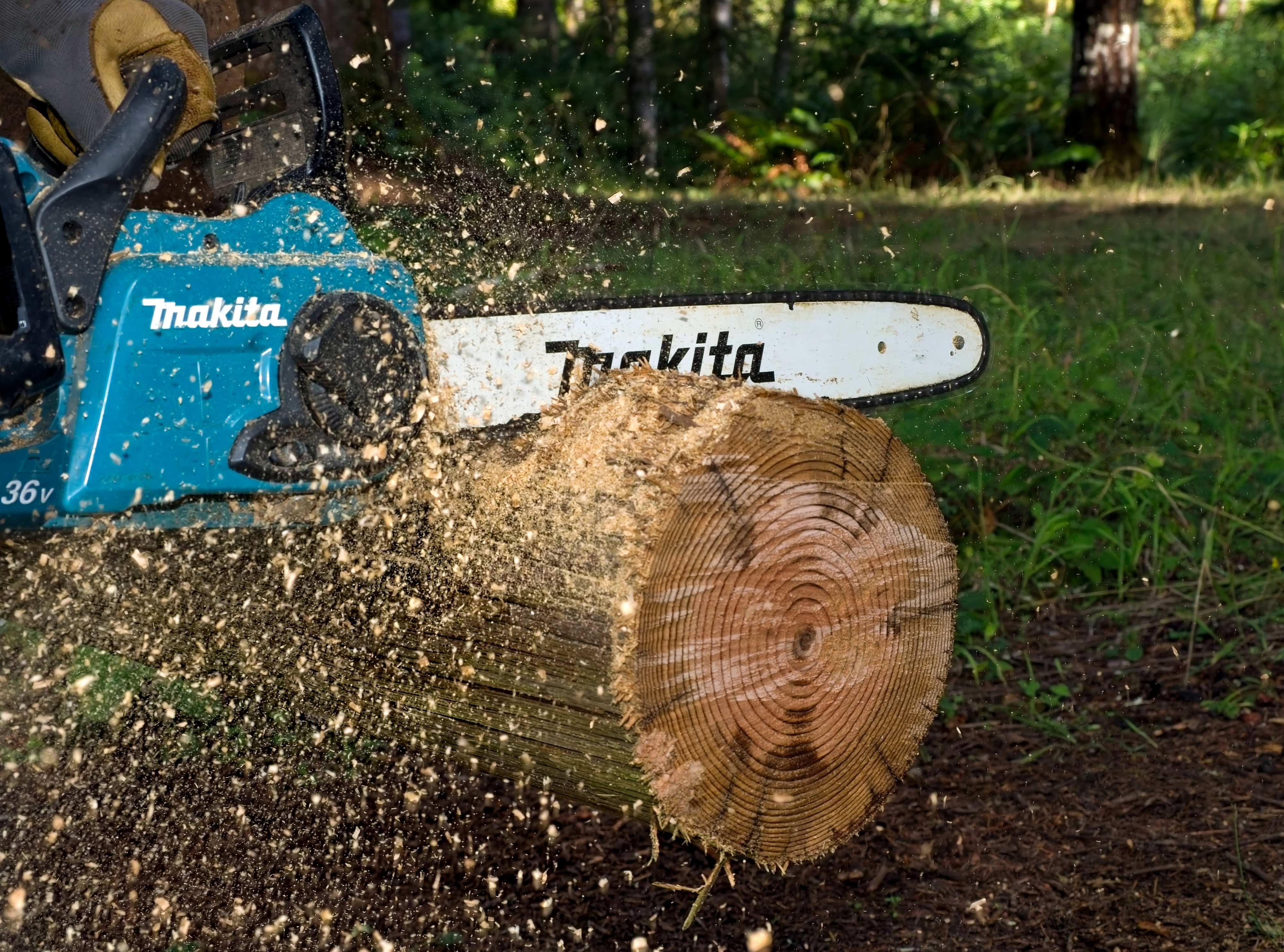 Chain Saw